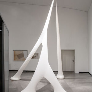 Blick in die Ausstellung mit Werk von Ernesto Neto: Three Stops for an Animal Architecture under Gravity, 2007