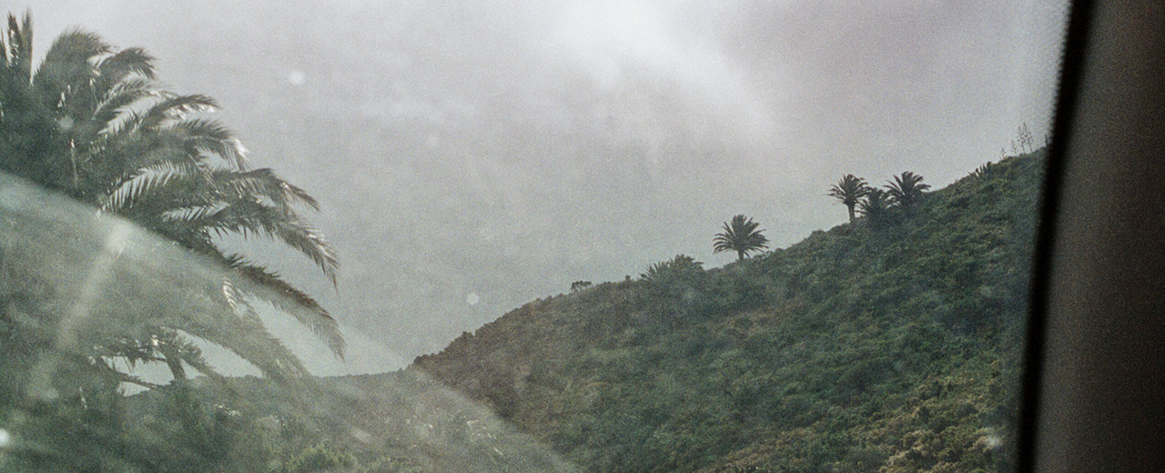 Eine Landschaft die aus dem Auto heraus, fotografiert wurde.